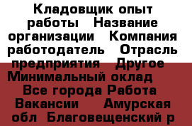 Кладовщик опыт работы › Название организации ­ Компания-работодатель › Отрасль предприятия ­ Другое › Минимальный оклад ­ 1 - Все города Работа » Вакансии   . Амурская обл.,Благовещенский р-н